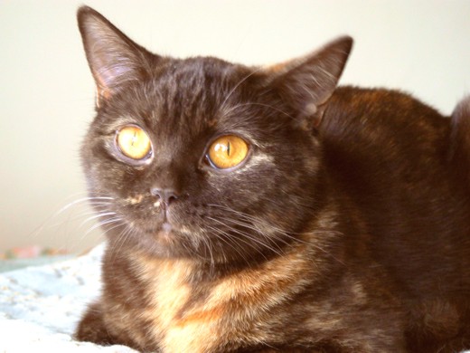 Selene