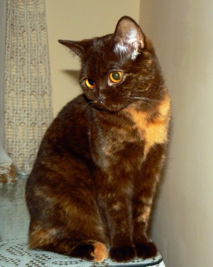 Selene
